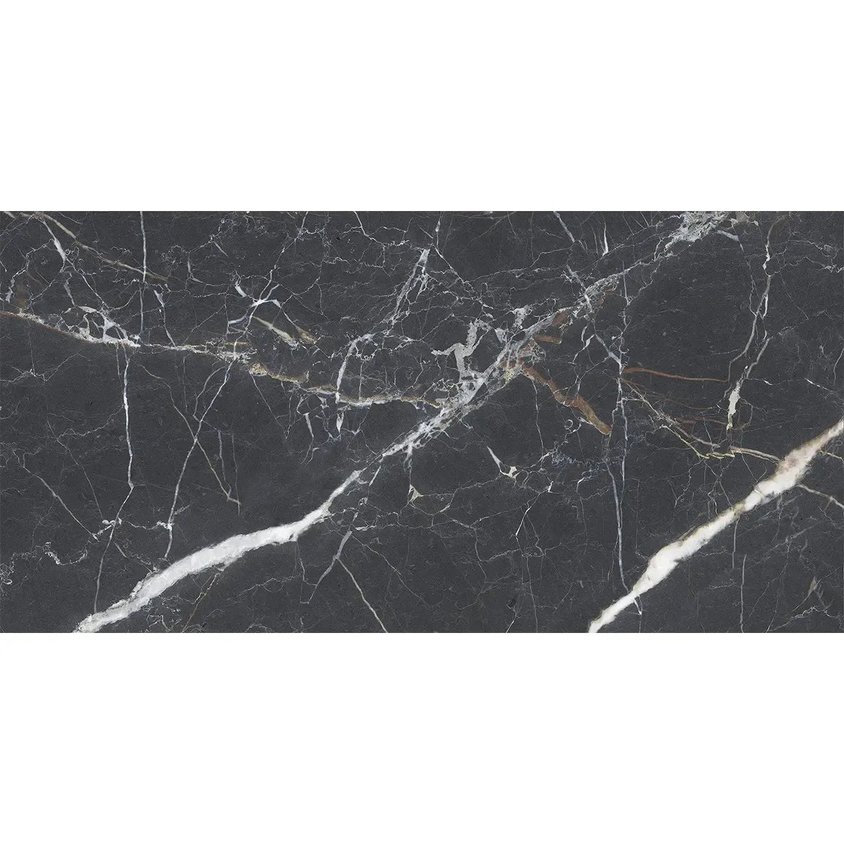 Emporio Bold Black Porcelain Tile 24x48 | Tile Club