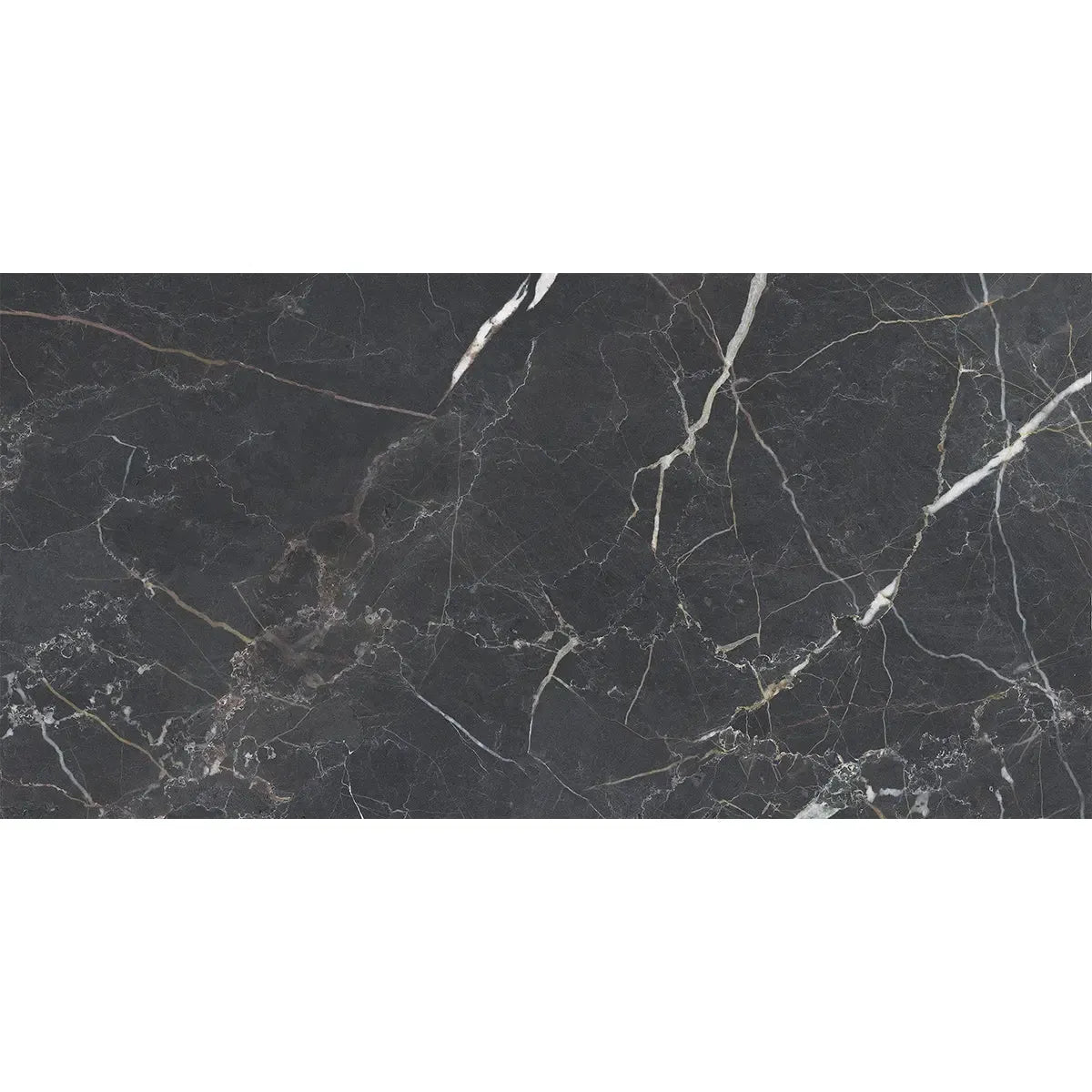 Emporio Bold Black Porcelain Tile 24x48 | Tile Club