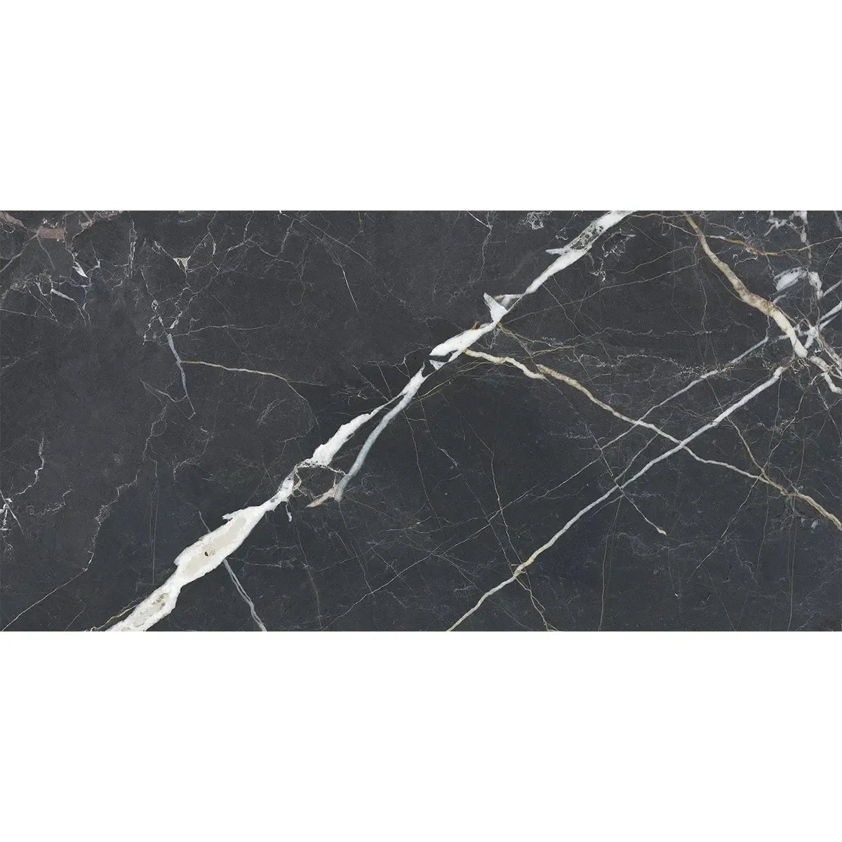 Emporio Bold Black Porcelain Tile 24x48 | Tile Club