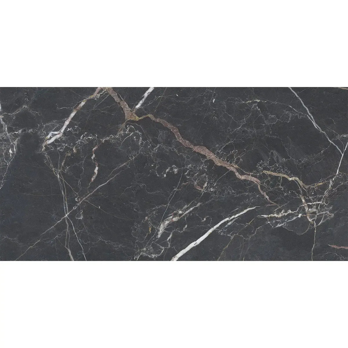 Emporio Bold Black Porcelain Tile 24x48 | Tile Club