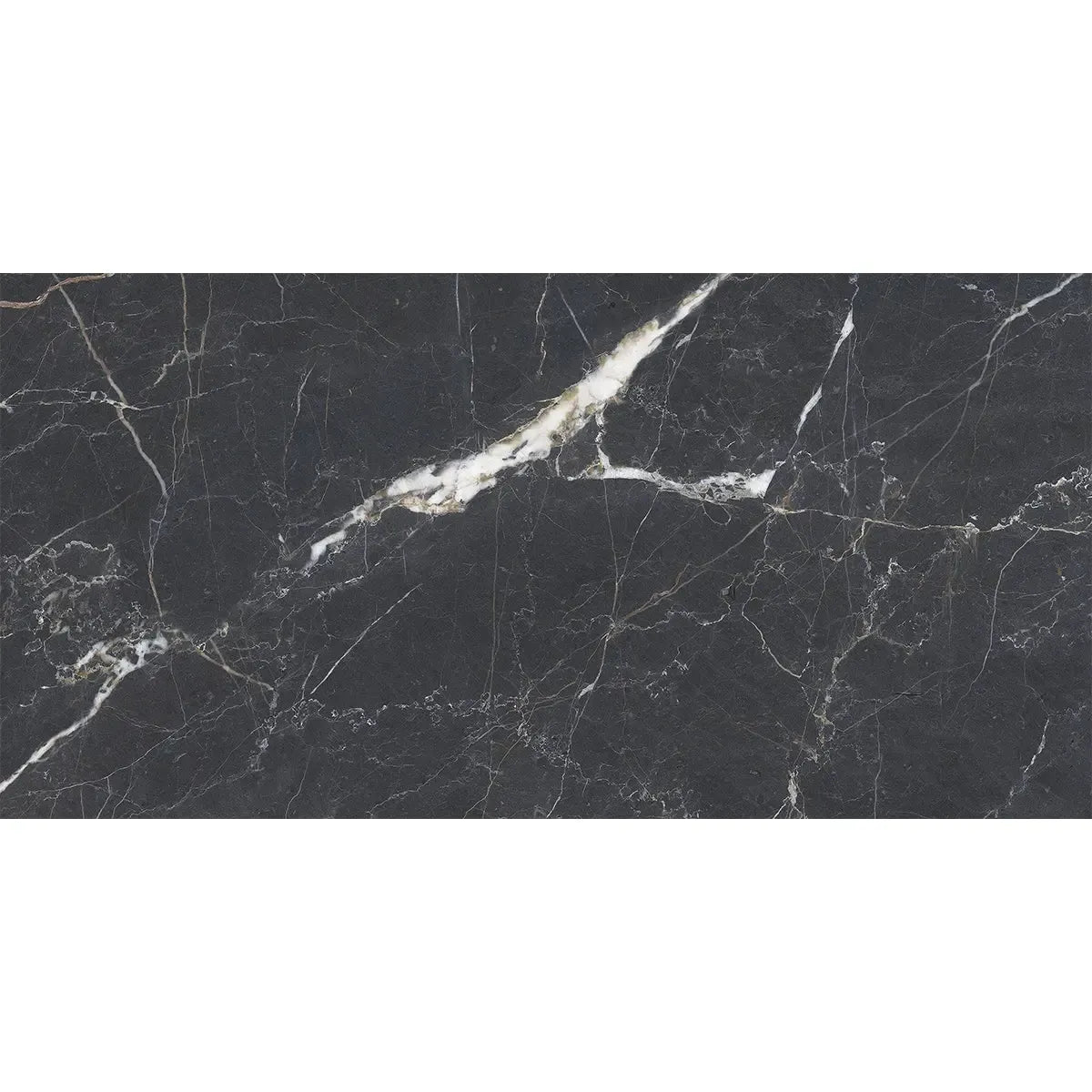 Emporio Bold Black Porcelain Tile 24x48 | Tile Club