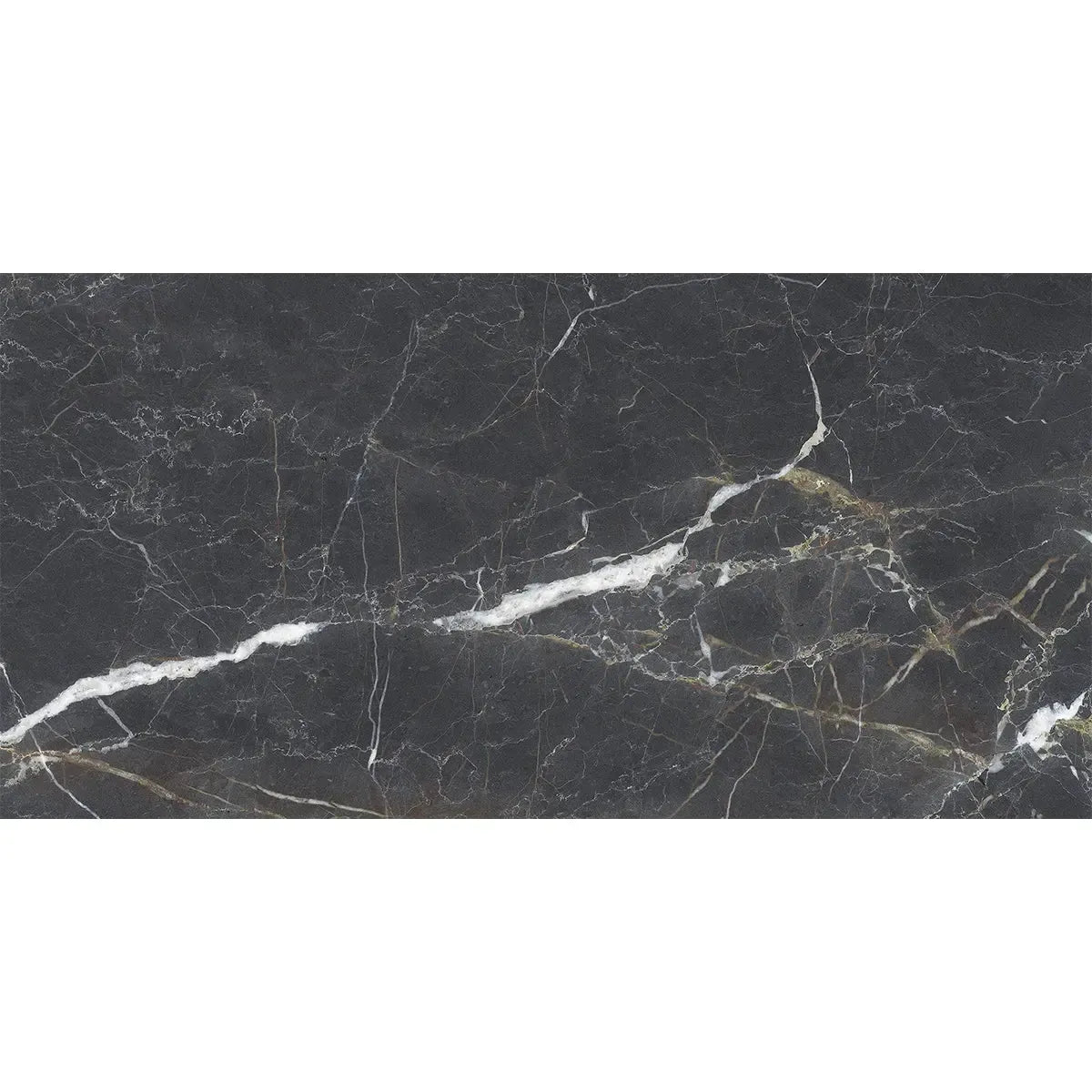 Emporio Bold Black Porcelain Tile 24x48 | Tile Club