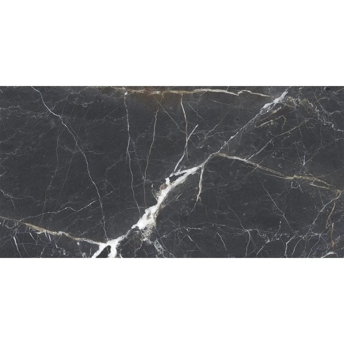 Emporio Bold Black Porcelain Tile 24x48 | Tile Club