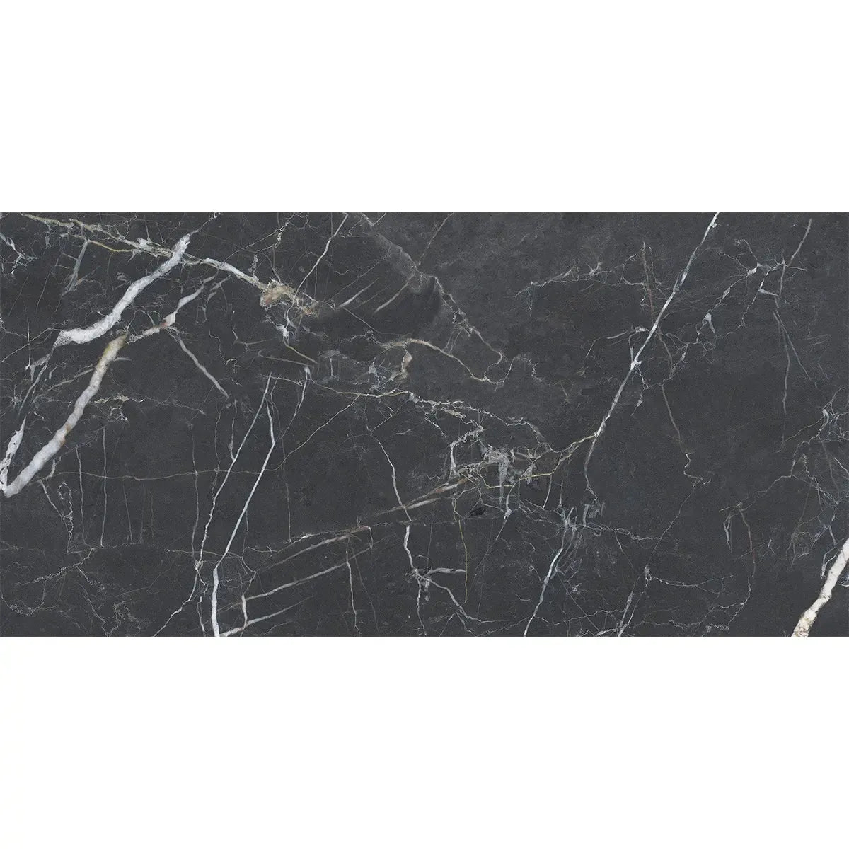 Emporio Bold Black Porcelain Tile 24x48 | Tile Club