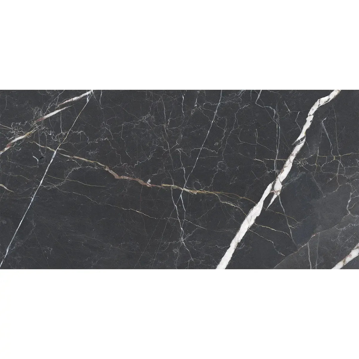 Emporio Bold Black Porcelain Tile 24x48 | Tile Club