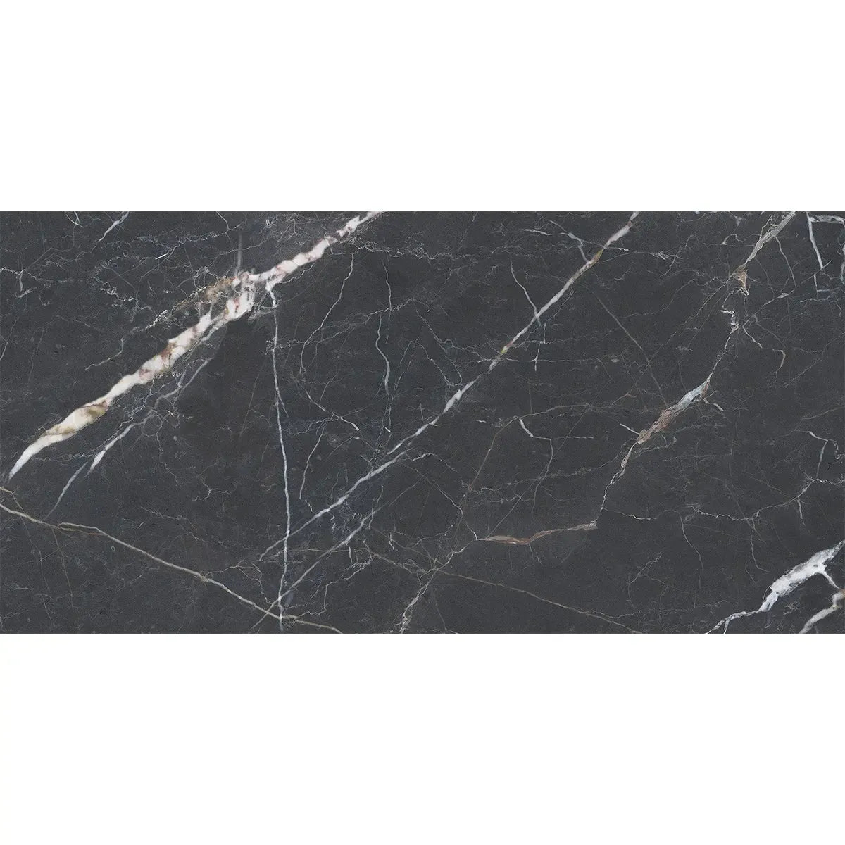 Emporio Bold Black Porcelain Tile 24x48 | Tile Club
