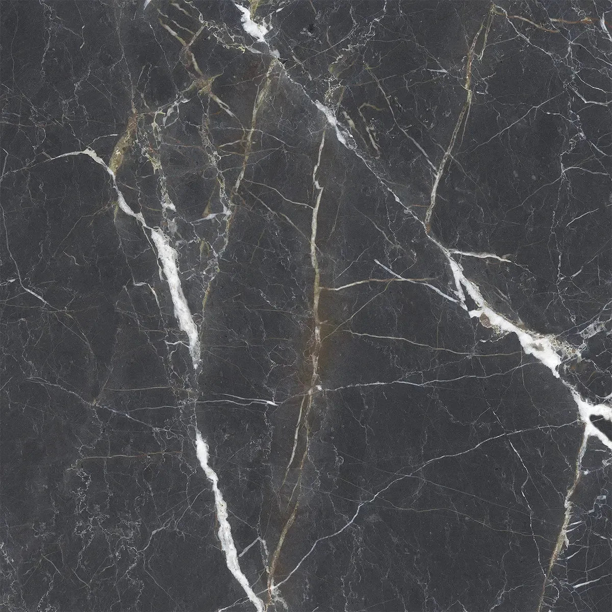 Emporio Bold Black Square Porcelain Tile 48x48 | Tile Club