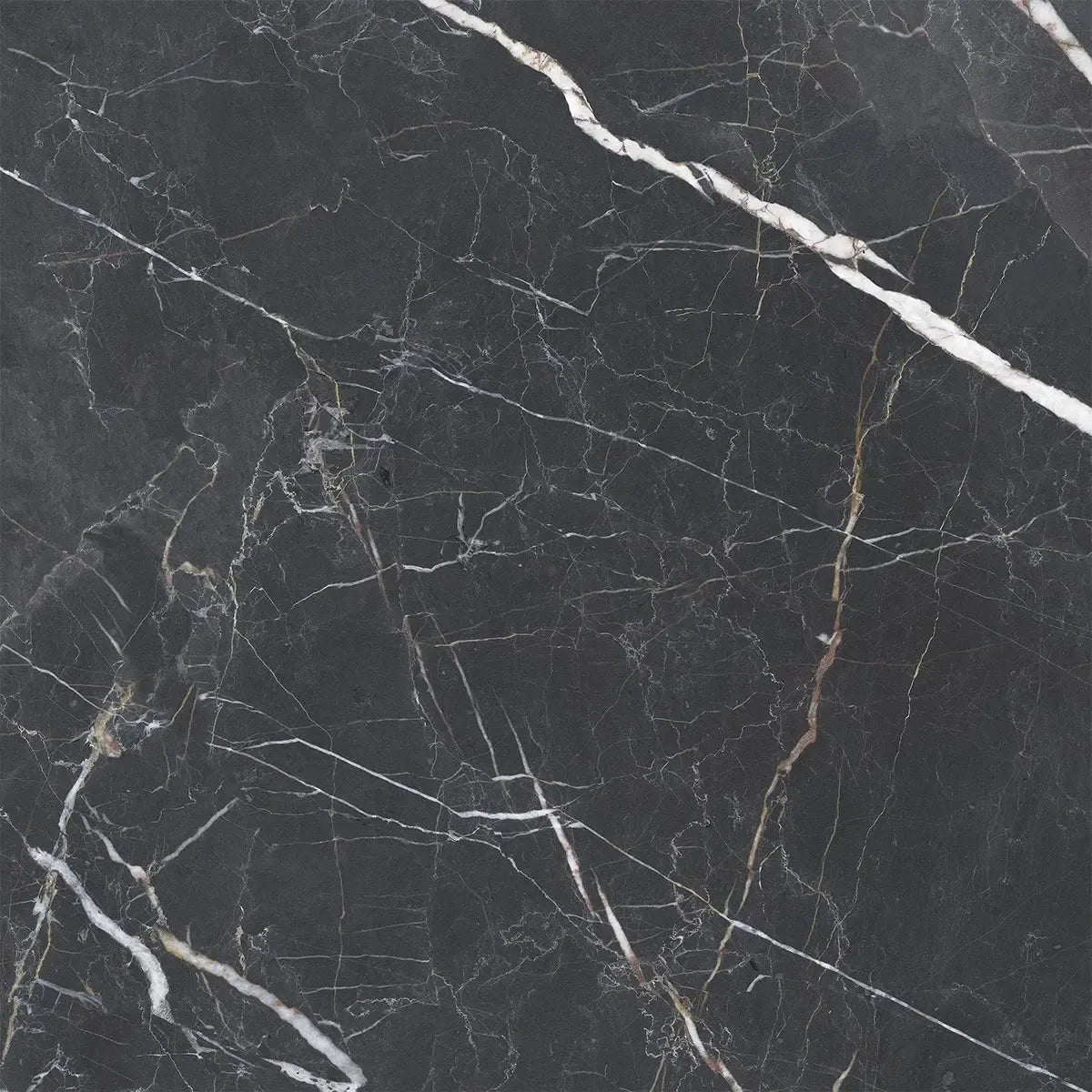 Emporio Bold Black Square Porcelain Tile 48x48 | Tile Club