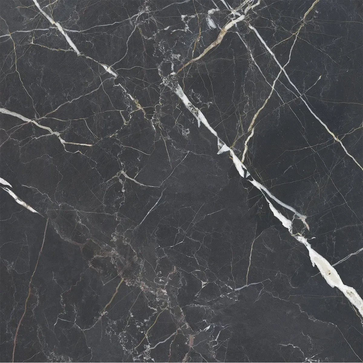 Emporio Bold Black Square Porcelain Tile 48x48 | Tile Club