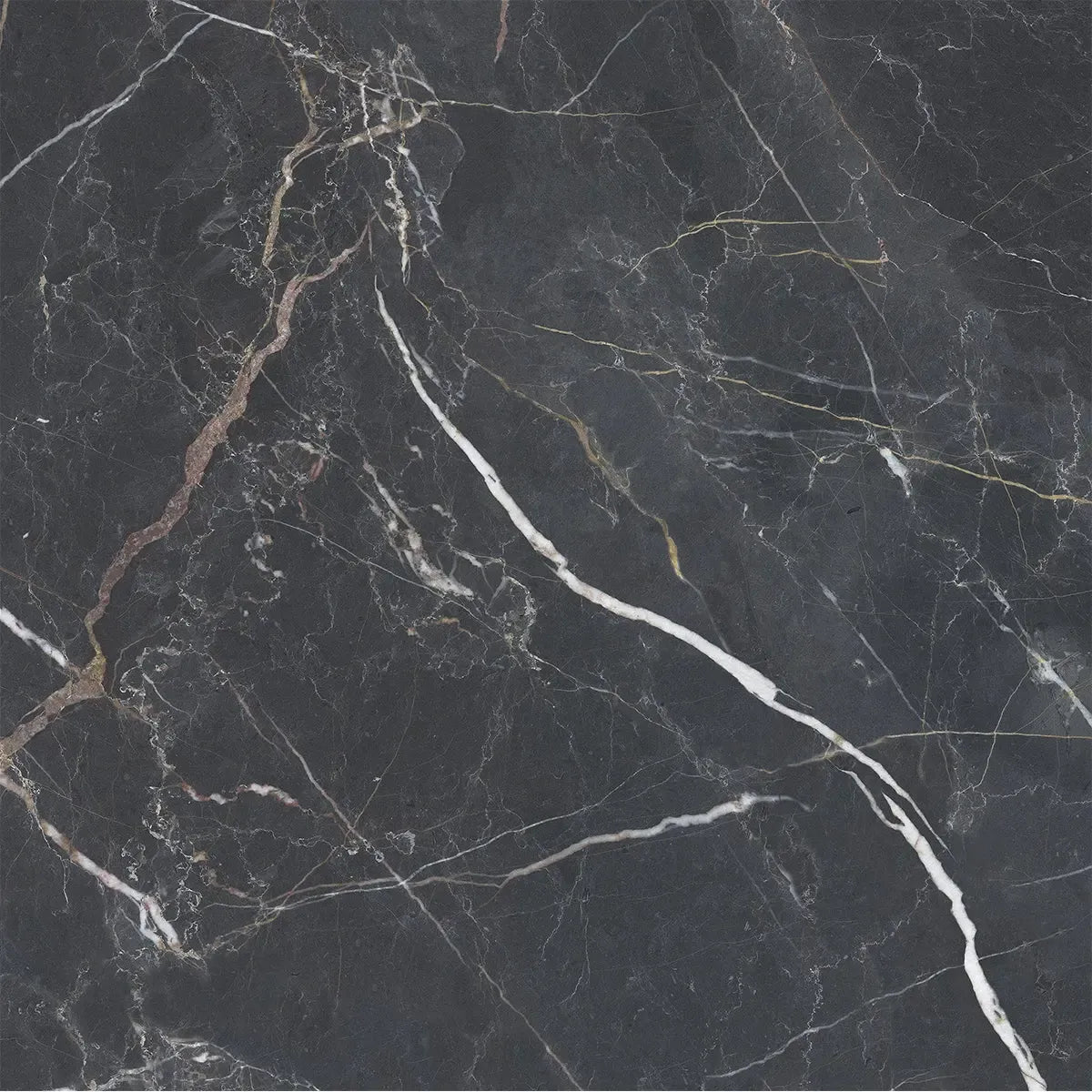 Emporio Bold Black Square Porcelain Tile 48x48 | Tile Club