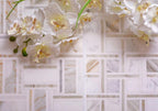 Large Basket Weave Calacatta Gold