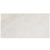 Candoglia Bianco Marble Look Porcelain Tile 24x48