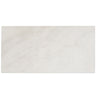 Candoglia Bianco Marble Look Porcelain Tile 24x48