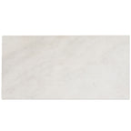Candoglia Bianco Marble Look Porcelain Tile 24x48 Sample