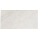 Candoglia Bianco Marble Look Porcelain Tile 24x48 Sample