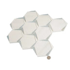 Triangular Hexagon in Bianco Dolomiti Leyte Blue and Thassos Marble Mosaic Tile | Tile Club