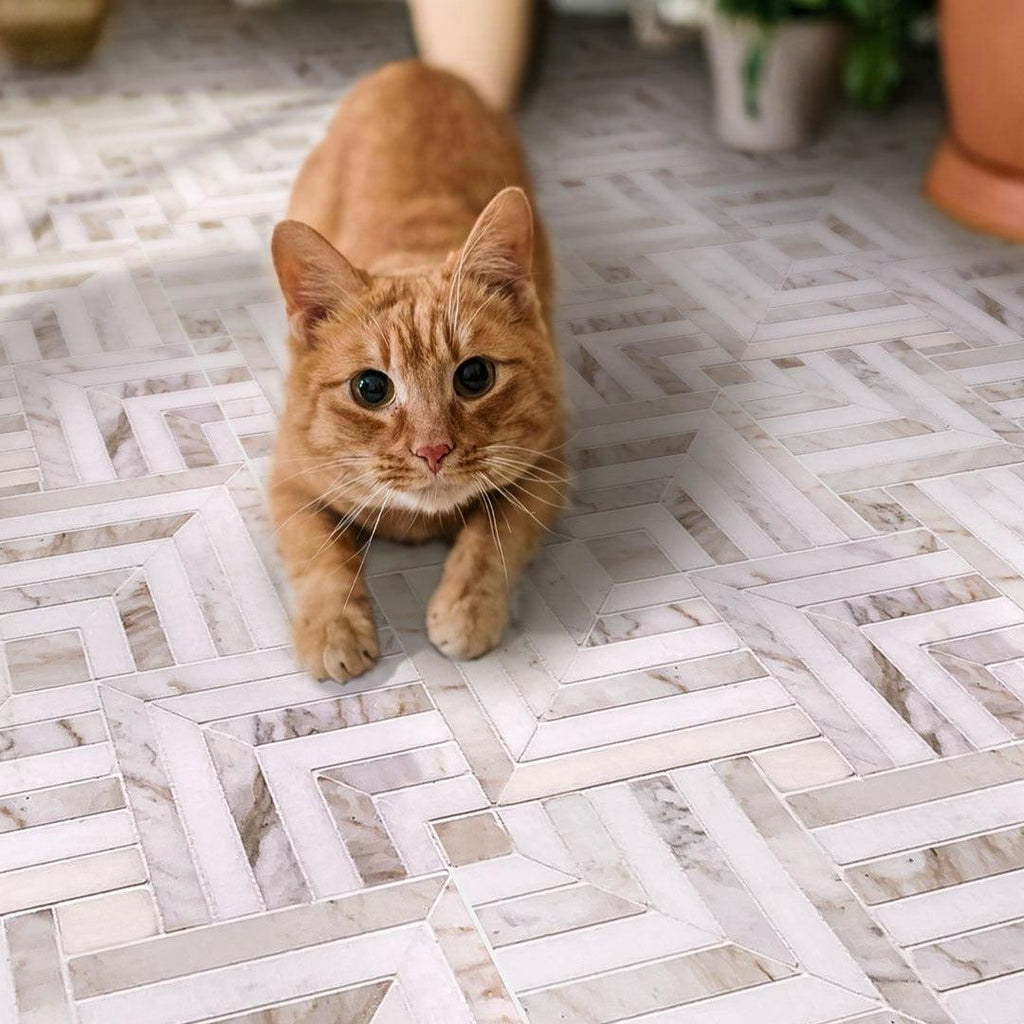 Square Weave Calacatta Gold & Thassos Mosaic Tile | Tile Club