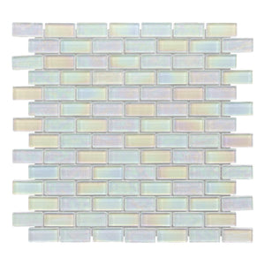 Neptune White 1X2 Glass Brick Tile