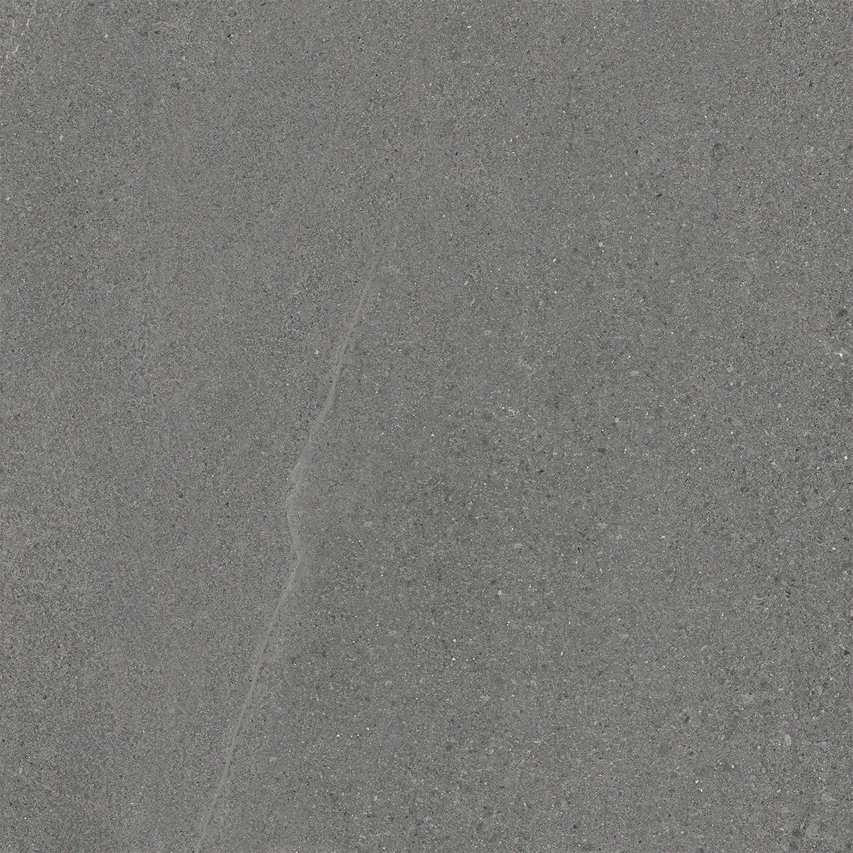 Newport Anthracite Concrete Look Porcelain Tile 24x24 | Tile Club