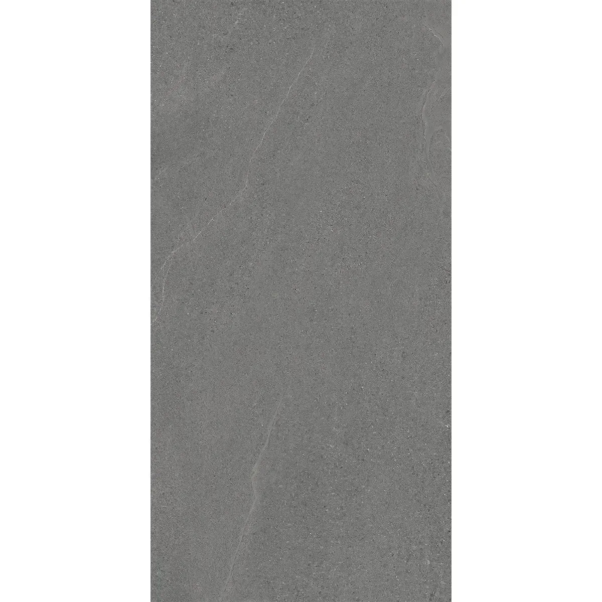 Newport Anthracite Concrete Look Porcelain Tile 24x48 | Tile Club
