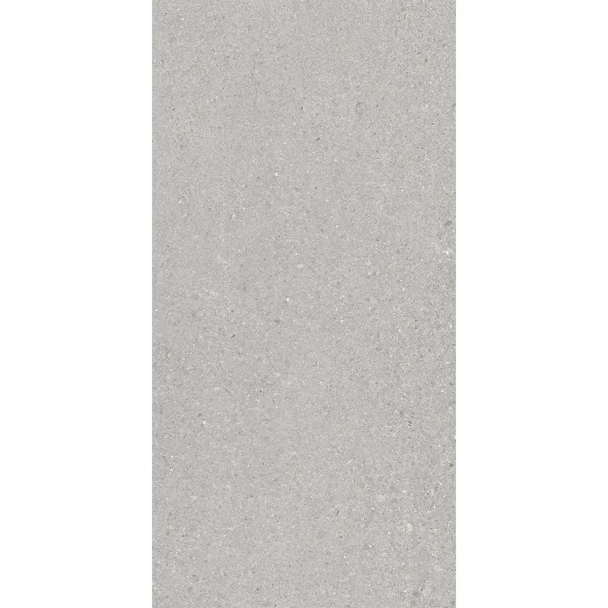 Newport Cold Gray Concrete Look Porcelain Tile 12x24 | Tile Club