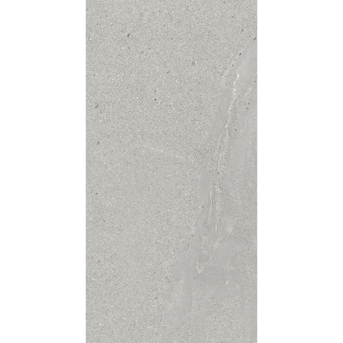 Newport Cold Gray Concrete Look Porcelain Tile Sample 12x24 | Tile Club