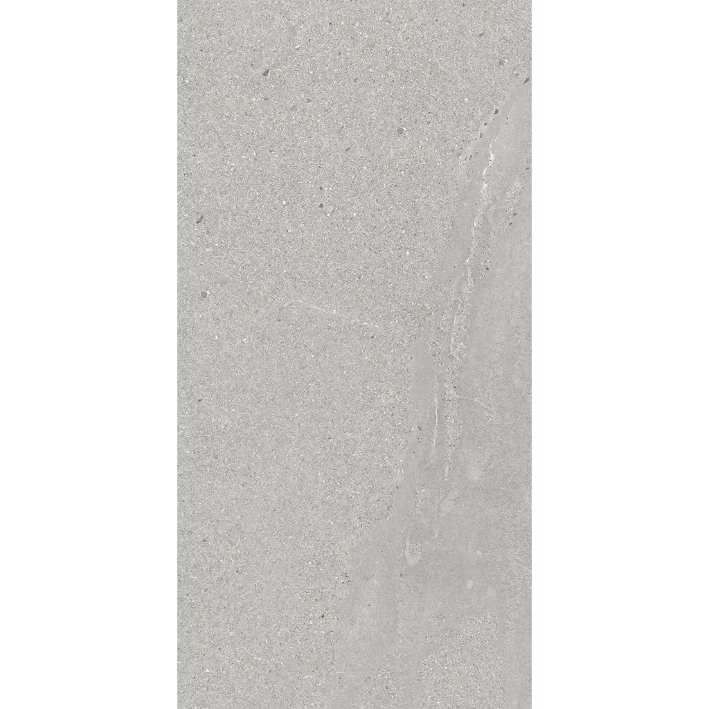 Newport Cold Gray Concrete Look Porcelain Tile 12x24 | Tile Club