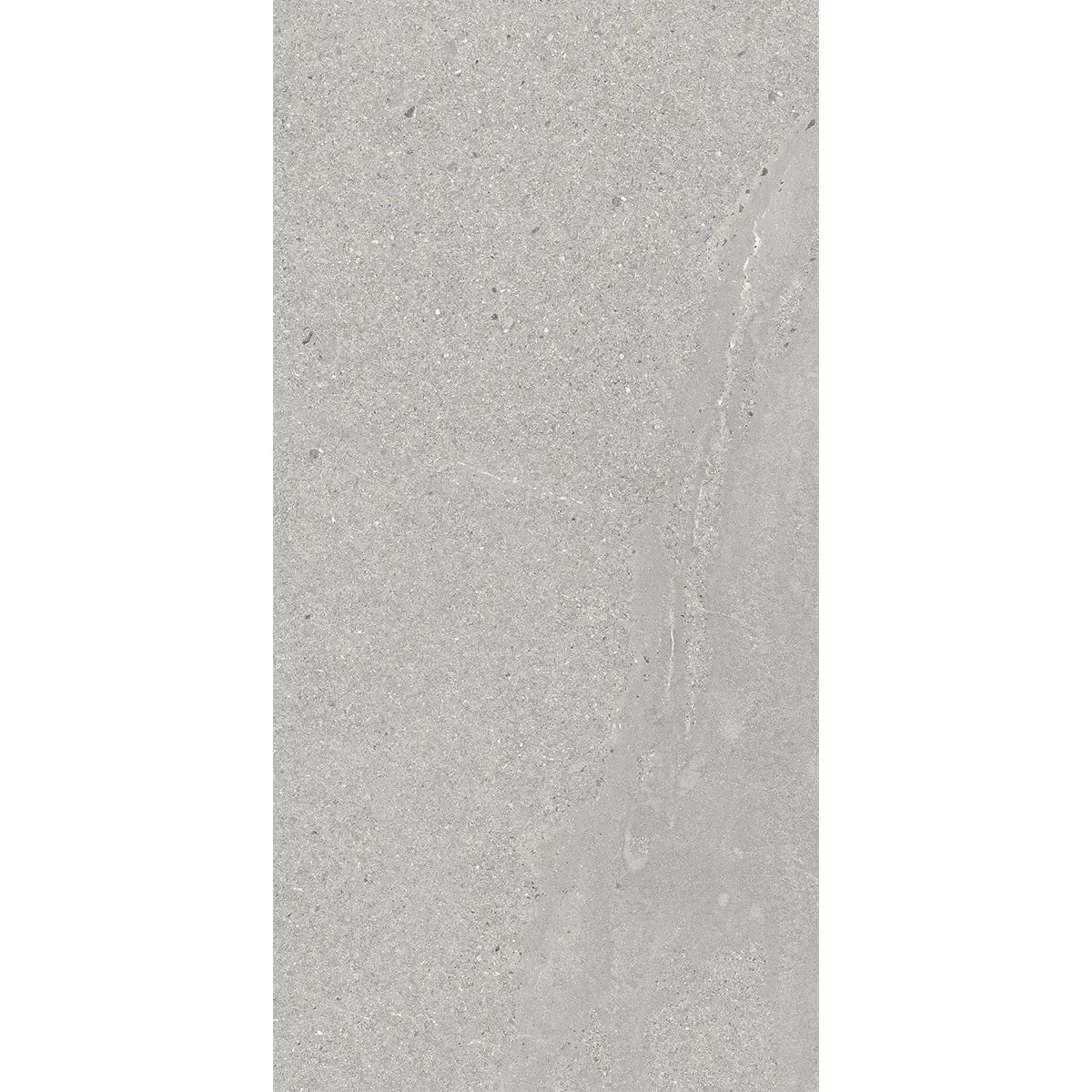 Newport Cold Gray Concrete Look Porcelain Tile 12x24 | Tile Club