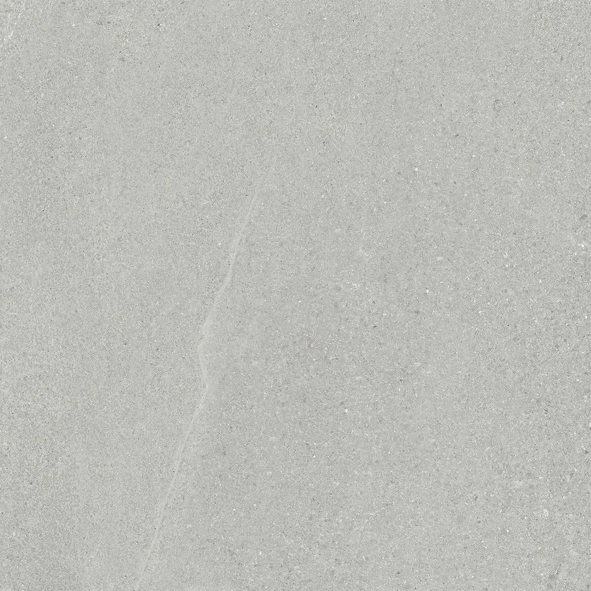 Newport Cold Gray Concrete Look Porcelain Tile 24x24 | Tile Club