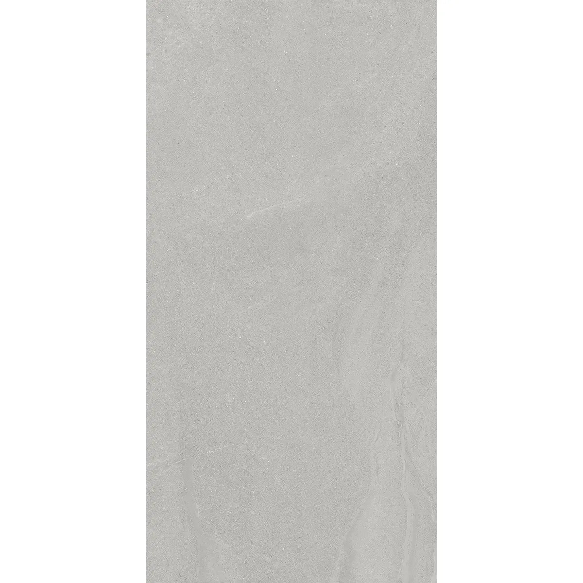 Newport Cold Gray Concrete Look Porcelain Tile 24x48 | Tile Club