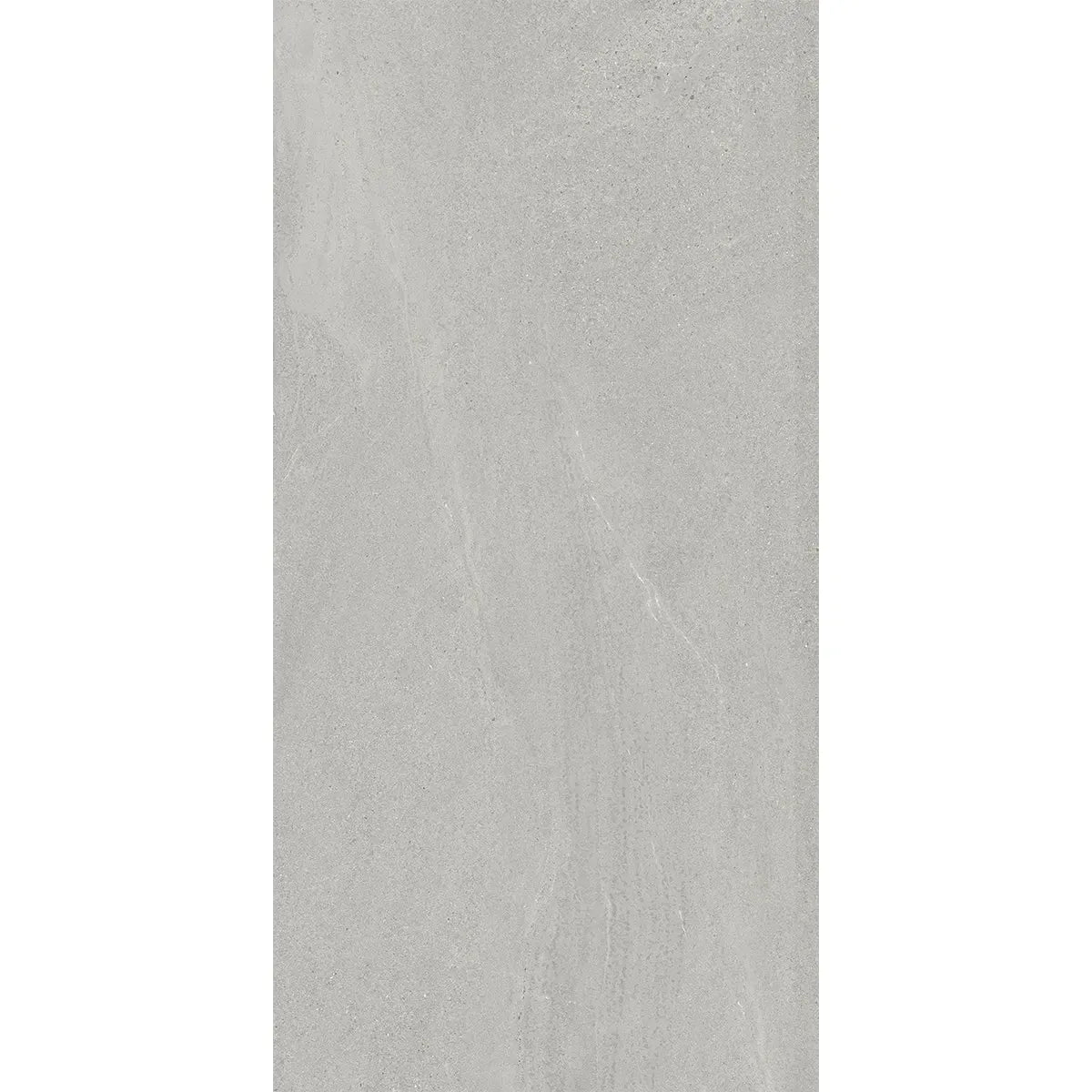 Newport Cold Gray Concrete Look Porcelain Tile 24x48 | Tile Club