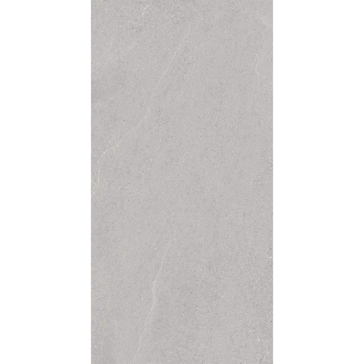 Newport Cold Gray Concrete Look Porcelain Tile 24x48 | Tile Club