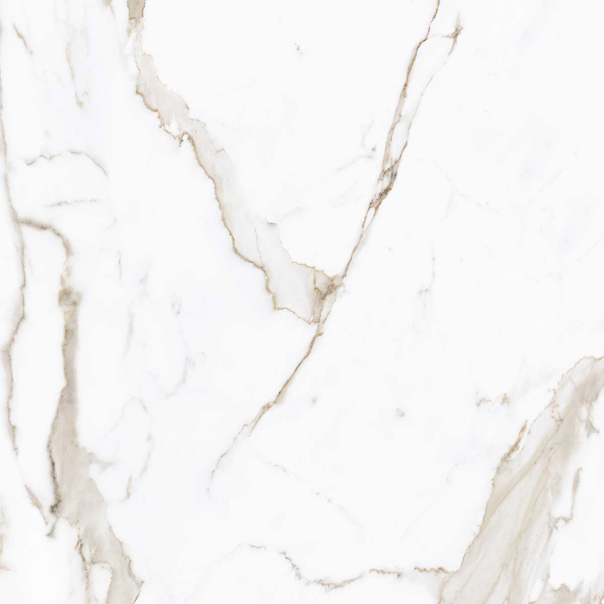 Boldara Oro Marble Look Porcelain Tile 24x24 | Tile Club