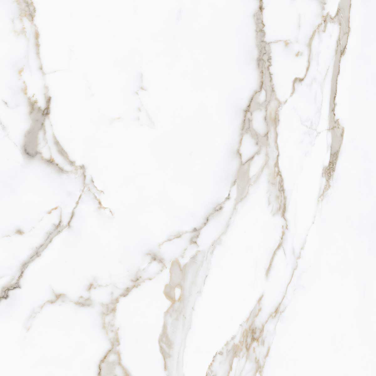 Boldara Oro Marble Look Porcelain Tile 24x24 | Tile Club