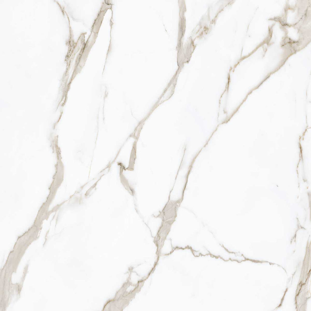 Boldara Oro Marble Look Porcelain Tile 24x24 | Tile Club