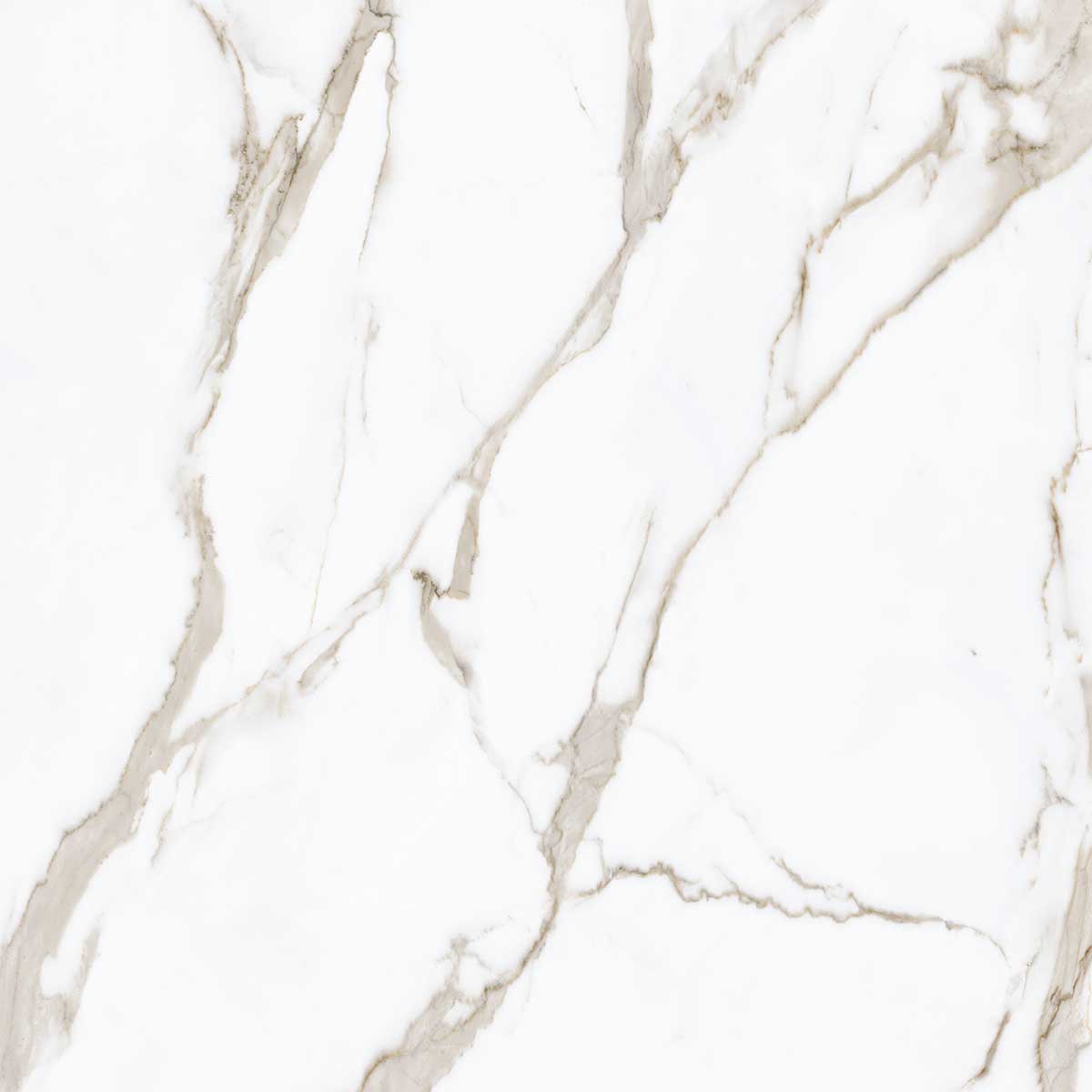 Boldara Oro Marble Look Porcelain Tile 24x24 | Tile Club