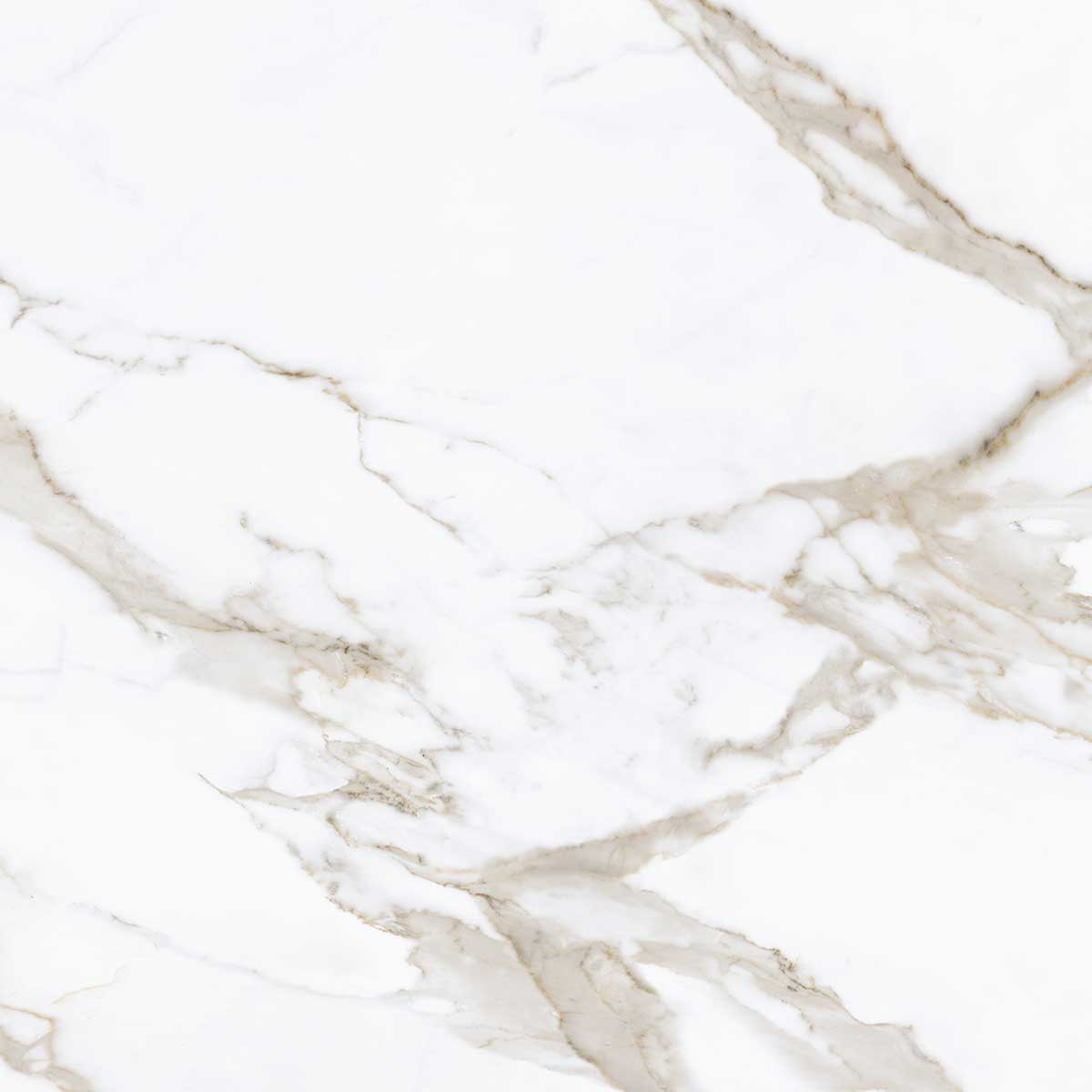 Boldara Oro Marble Look Porcelain Tile Sample 24x24 | Tile Club