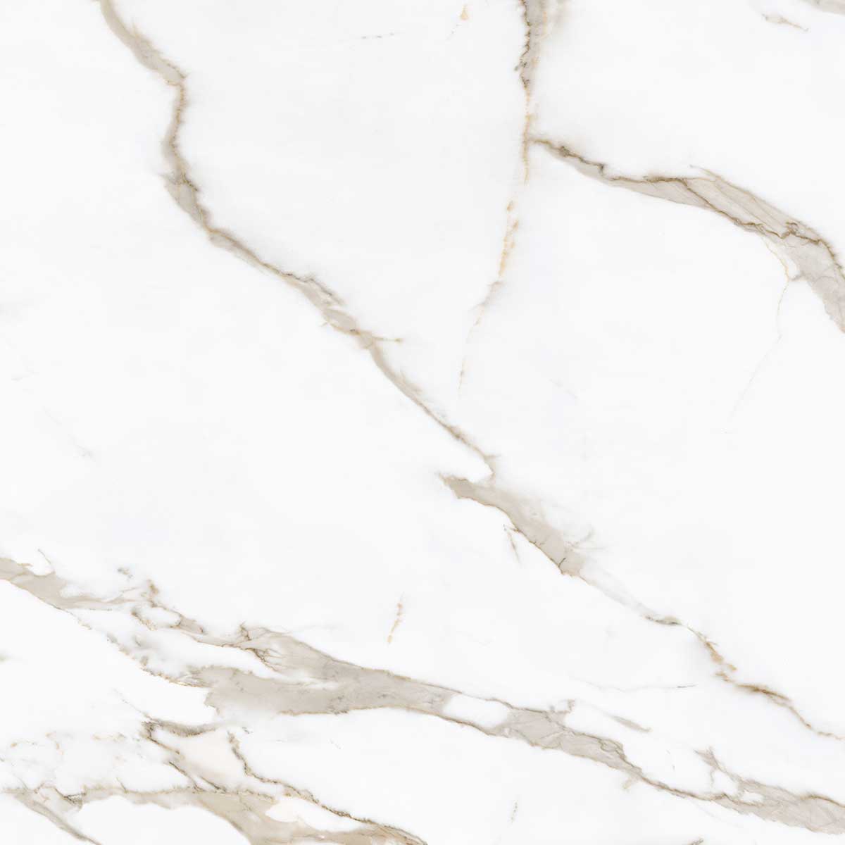 Boldara Oro Marble Look Porcelain Tile 24x24 | Tile Club