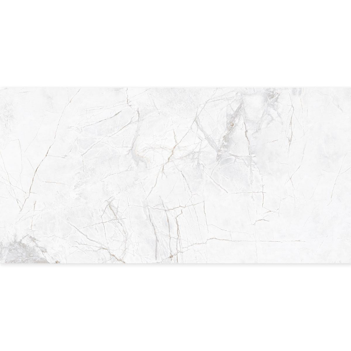 Panorama Gray Marbled Porcelain Tile 24x48