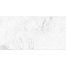 Panorama Gray Marbled Porcelain Tile 24x48 | Tile Club