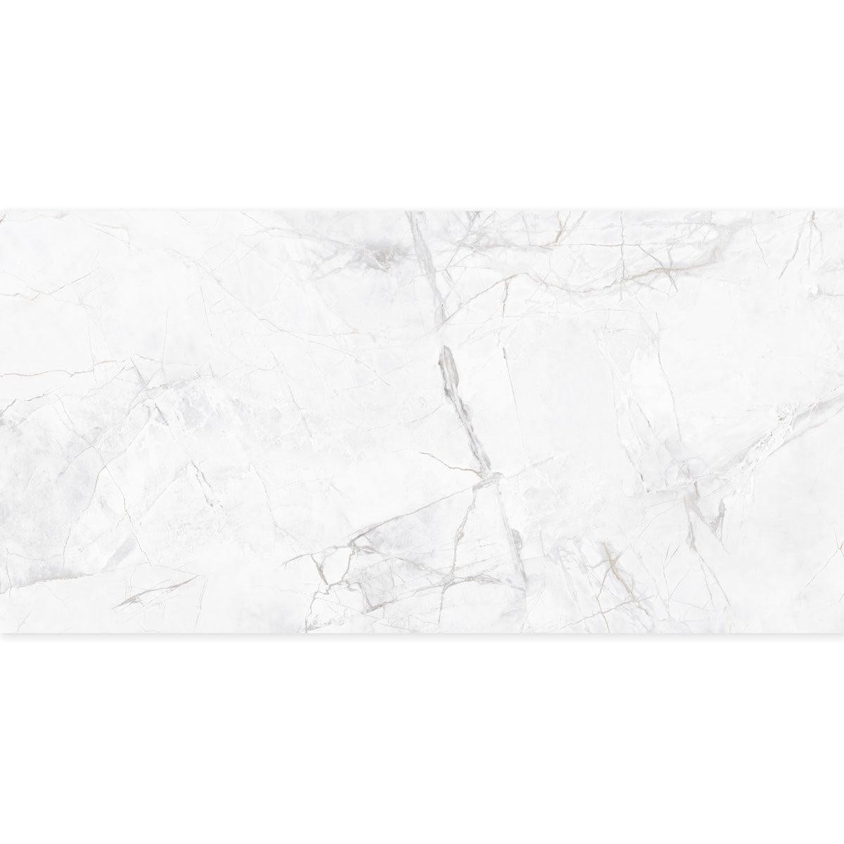 Panorama Gray Marbled Porcelain Tile 24x48 | Tile Club