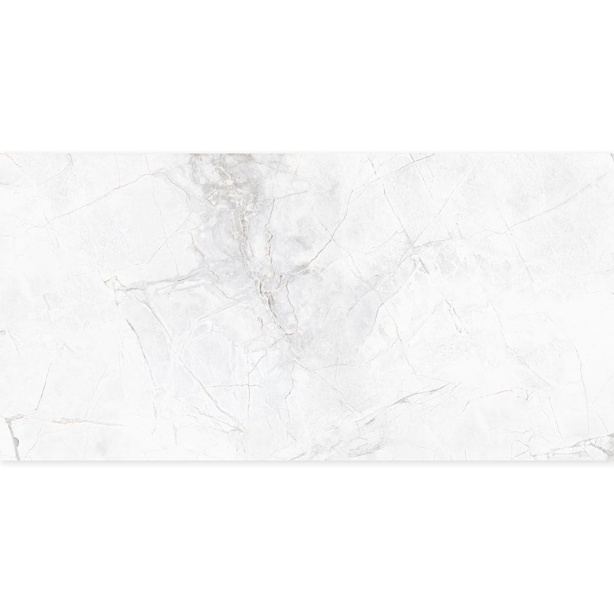 Panorama Gray Marbled Porcelain Tile 24x48