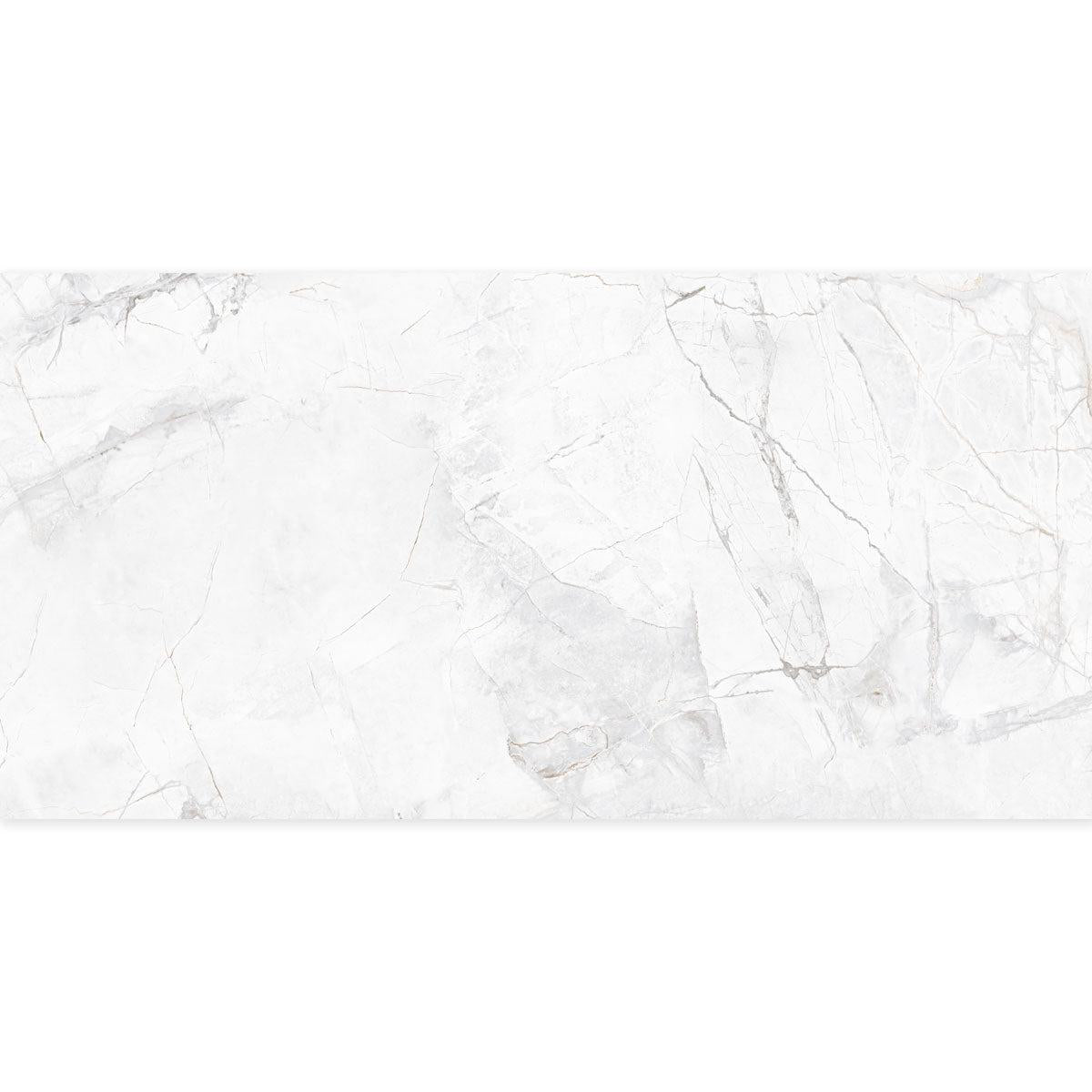 Panorama Gray Marbled Porcelain Tile 24x48