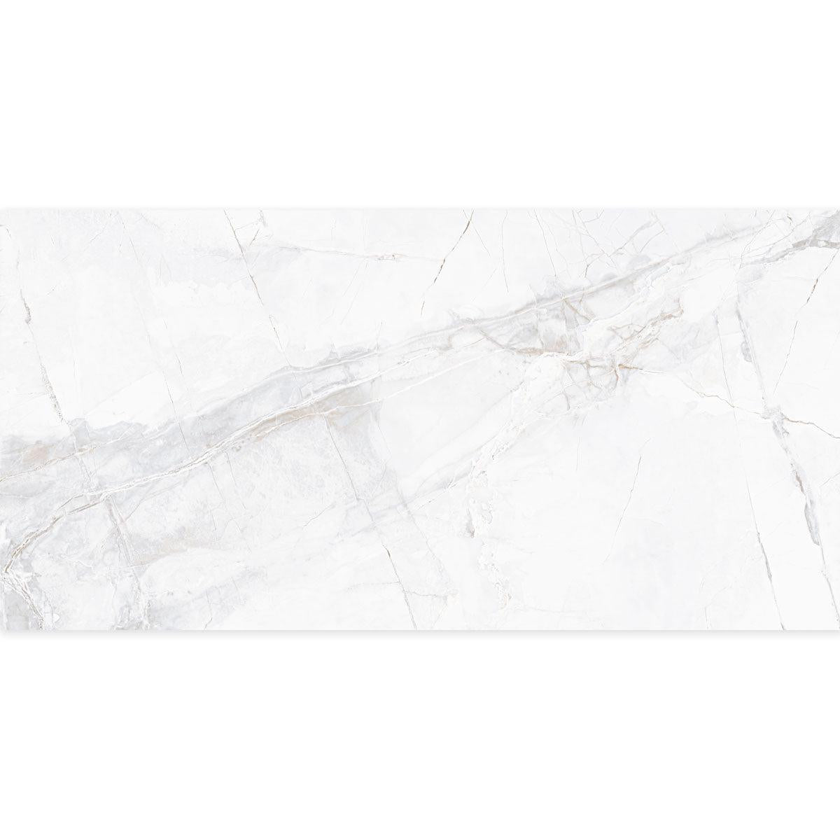 Panorama Gray Marbled Porcelain Tile 24x48