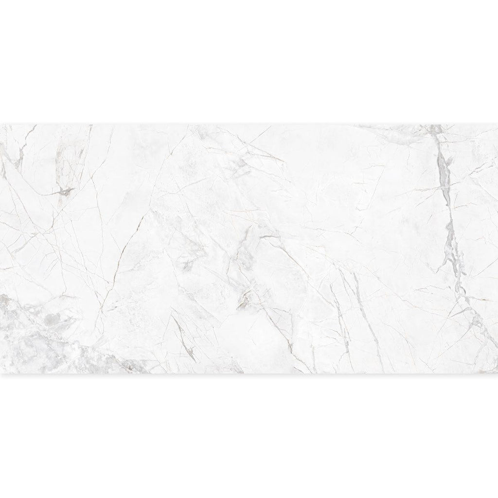 Panorama Gray Marbled Porcelain Tile 24x48 | Tile Club