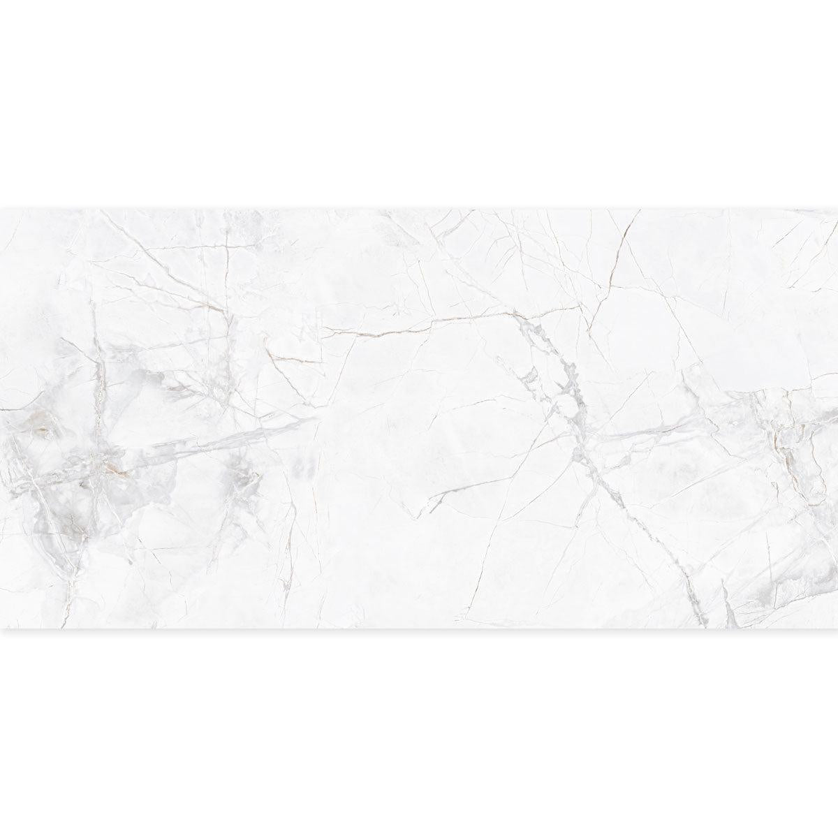 Panorama Gray Marbled Porcelain Tile 24x48 | Tile Club