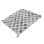 Bardiglio Penny Round & Carrara Dot Marble Mosaic Tile