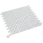 White Mother of Pearl Oval Mosaic Tile