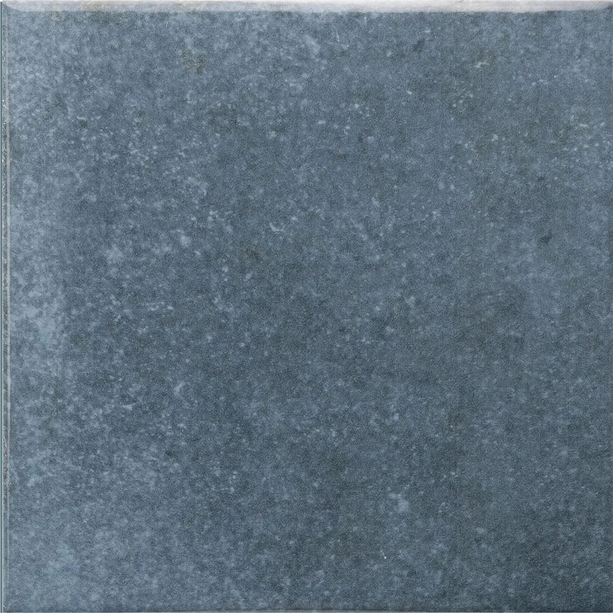 Nerida Blue Glossy 5.9" Porcelain Pool Tile | Tile Club