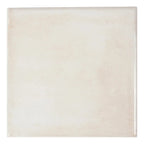 Nerida Canvas Glossy 5.9" Porcelain Pool Tile | Tile Club